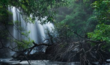 Konkan The Hidden Gem Maharashtra 5 Nights / 6 Days
