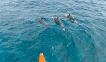 EXPLORE LAKSHADWEEP 3 Nights / 4 Days